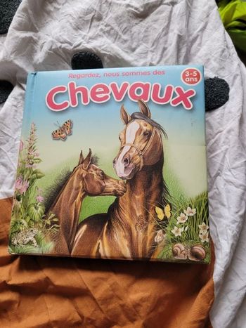 Regardez nous sommes des chevaux