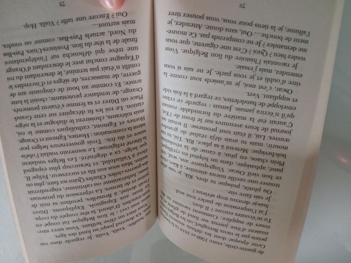 PETIT ELOGE DE LA BELGIQUE DE GREGOIRE POLET - photo numéro 3