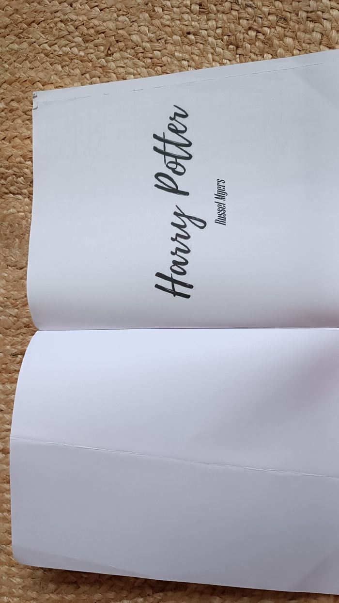 Livre apprendre à dessiner Harry Potter - photo numéro 2