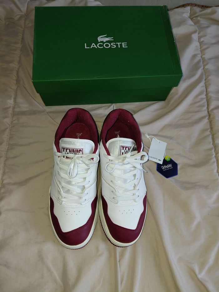 Baskets Lacoste - photo numéro 2