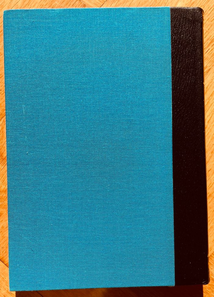 🐬 Les dauphins et la liberté - photo numéro 2