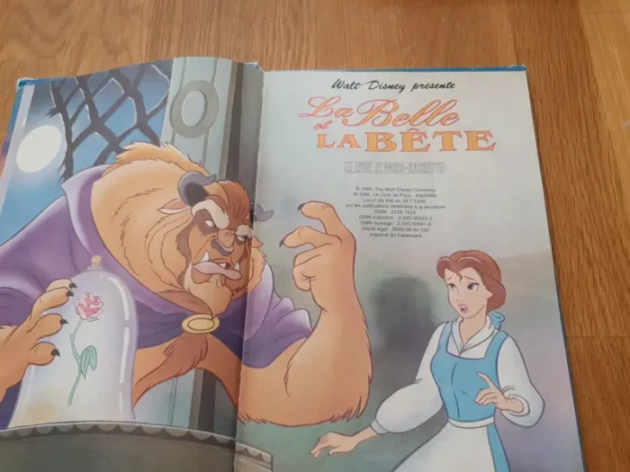 Lot livres disney - photo numéro 17