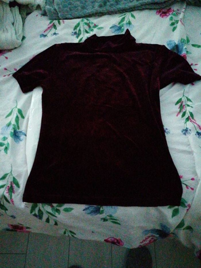 Tee-shirt style velours