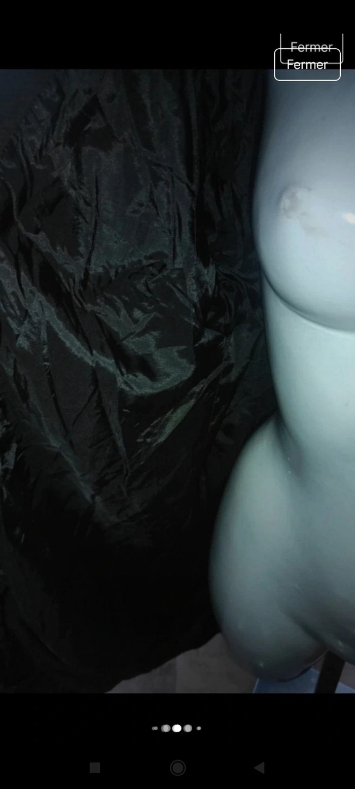Très beau manteau v5 - photo numéro 3