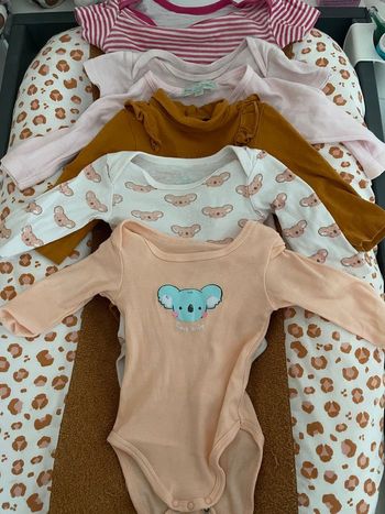 Bodies ( lot de 25 )