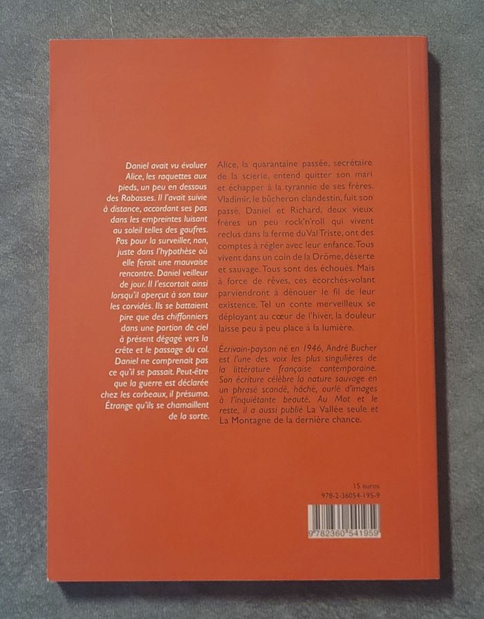 Fée d'hiver par André Bucher - photo numéro 2