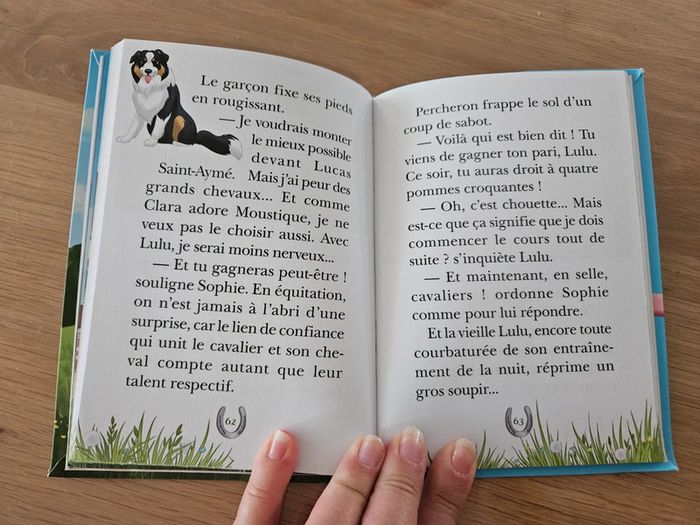 Livre Mes amis les chevaux La grande competition - photo numéro 3