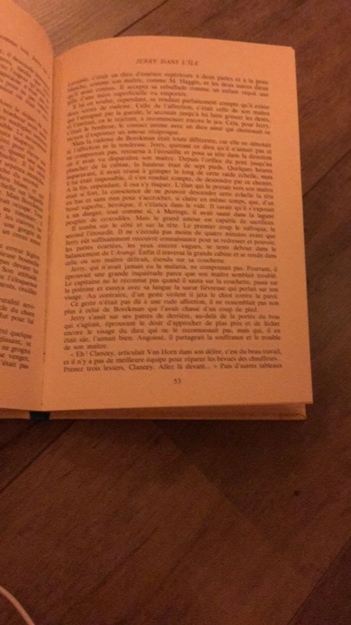 Livre Jerry dans l île Jack London - photo numéro 3