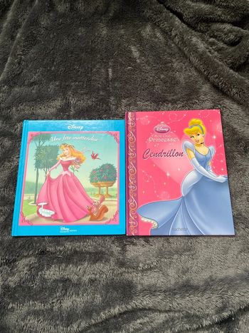Lot de deux livres la belle au bois dormant +cendrillon