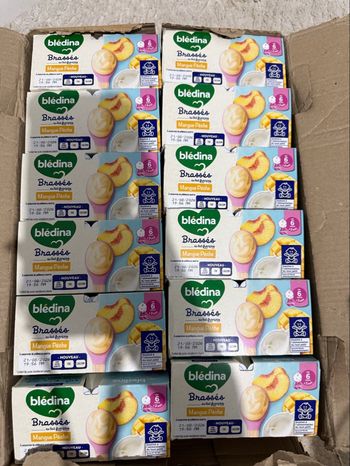 Lot de 48 pots Bledina mangue pêche 