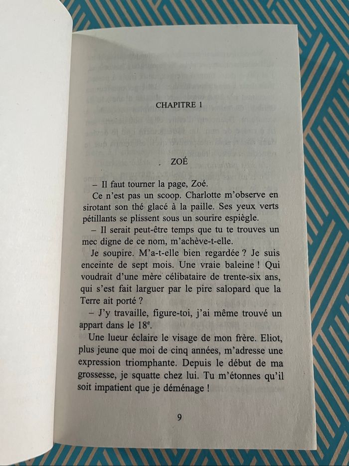 Roman « Les Amoureux de Montmartre » de Laurence Chevallier - photo numéro 6