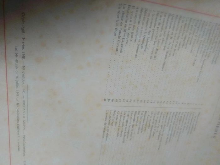 Bécassine en apprentissage - photo numéro 4