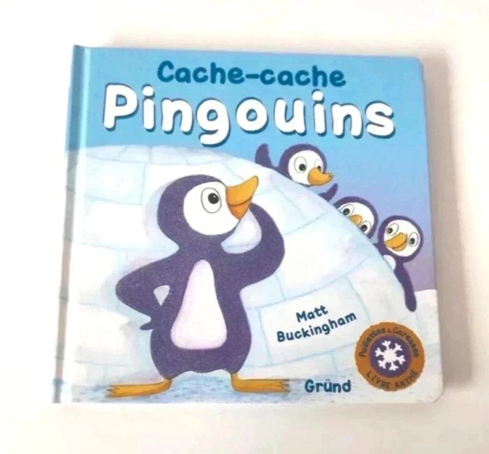 6 € 📚 Livre : Cache-Cache Pingouins