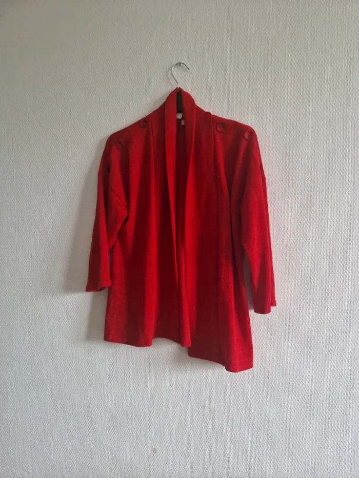 Gilet - photo numéro 3