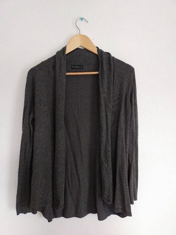 Gilet gris femme zara