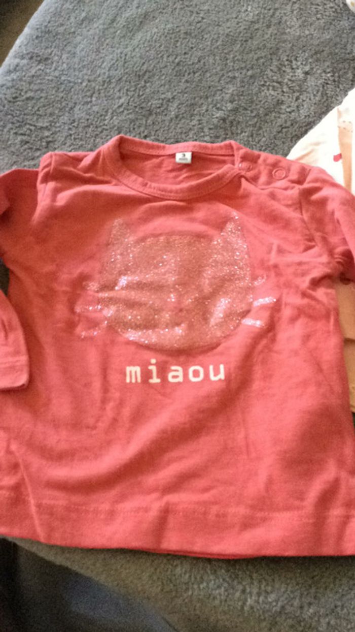 Lot tee Shirt petit chat - photo numéro 2