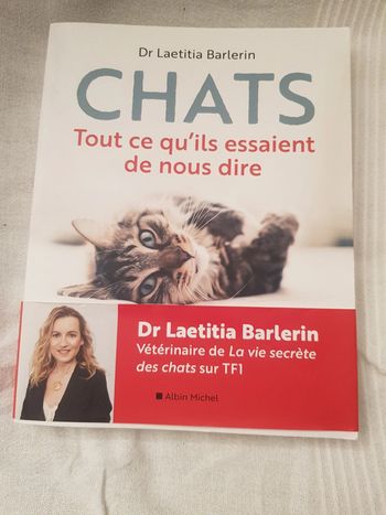 Chats tout ce qu'ils essaient de nous dire