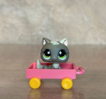 Petshop Chaton #1035