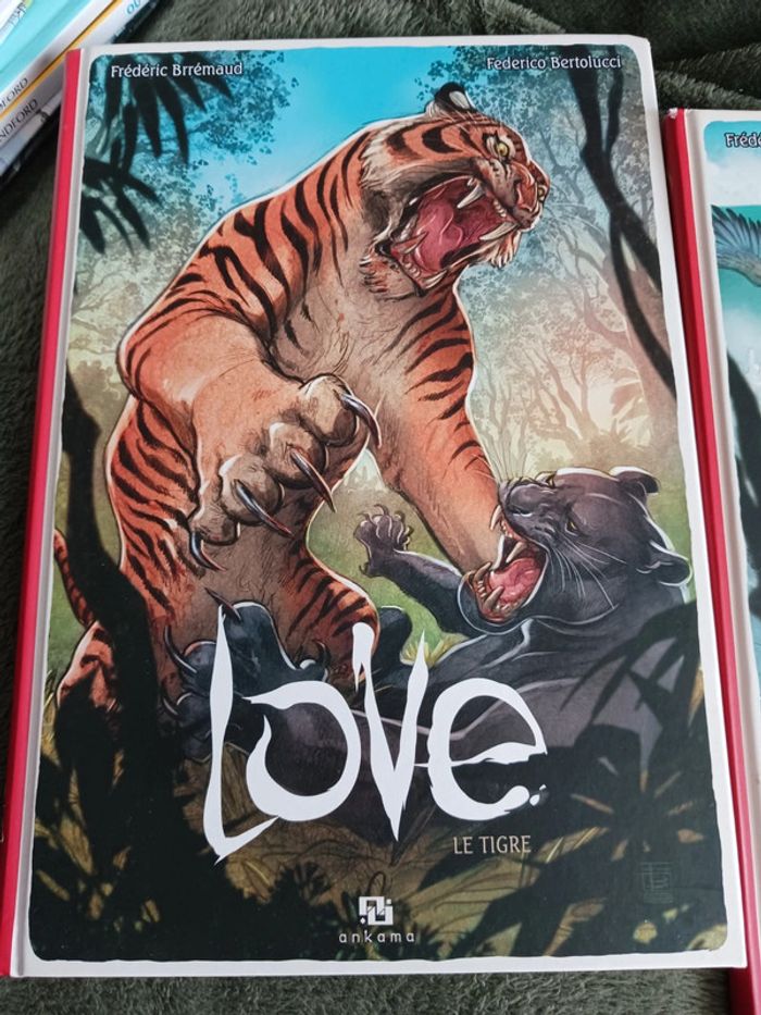 BD sans paroles LOVE le lion, le tigre et le renard - photo numéro 2