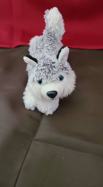 Peluche chien husky CREATIONS DANI gris blanc 20 cm