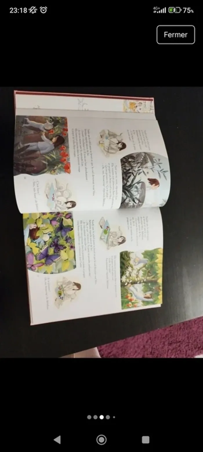 Lots 3 livres de contes - photo numéro 7