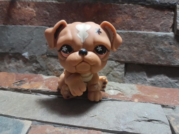 Figurine Petshop chien. C. London