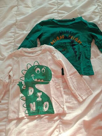 Lot 2 t shirt in extenso comme neuf 9m