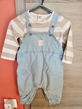 Bodys bébé