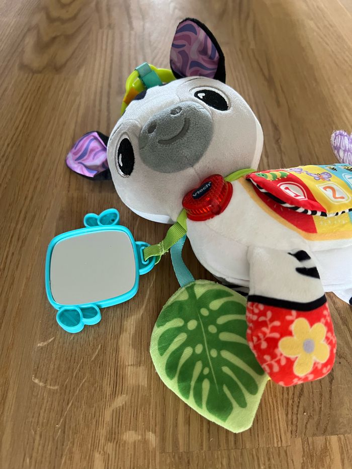 Jouet Vtech Timéo, p'tit zèbre d'activités - photo numéro 5