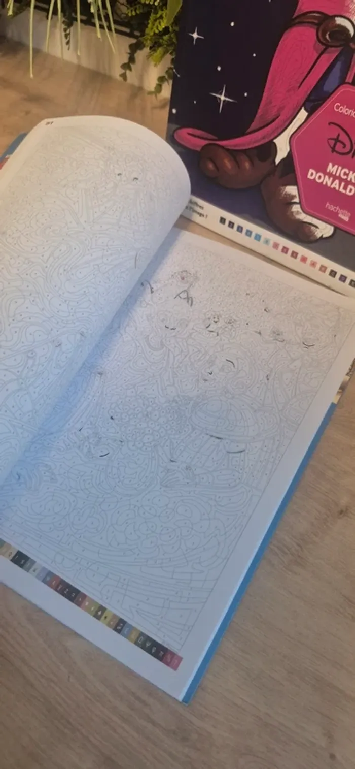 Livre coloriage magique disney - photo numéro 4