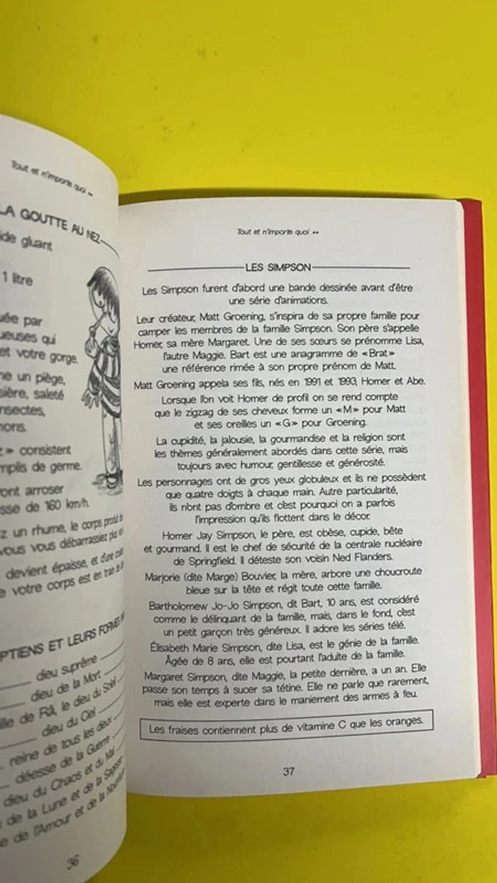 🤩 Tout et n’importe quoi - photo numéro 3