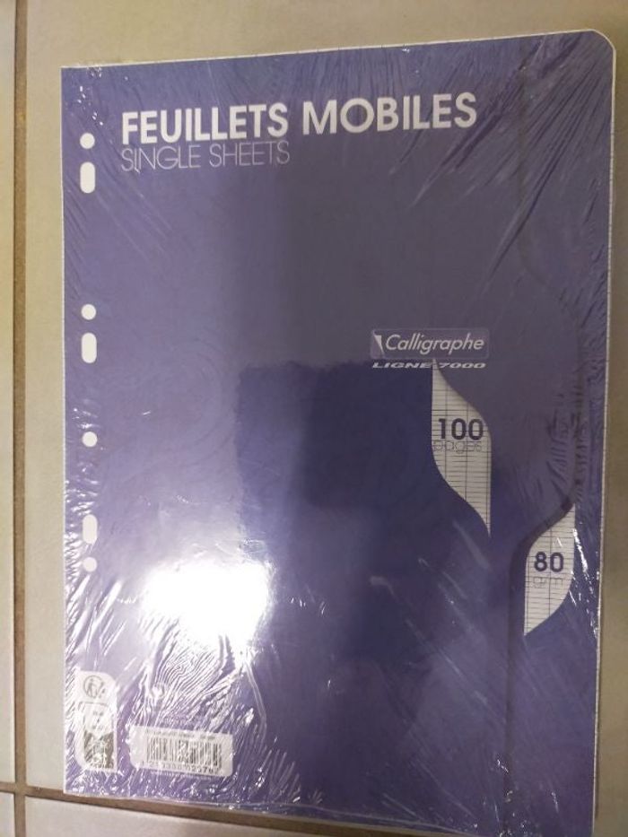 Feuillets mobiles 100 pages grands carreaux