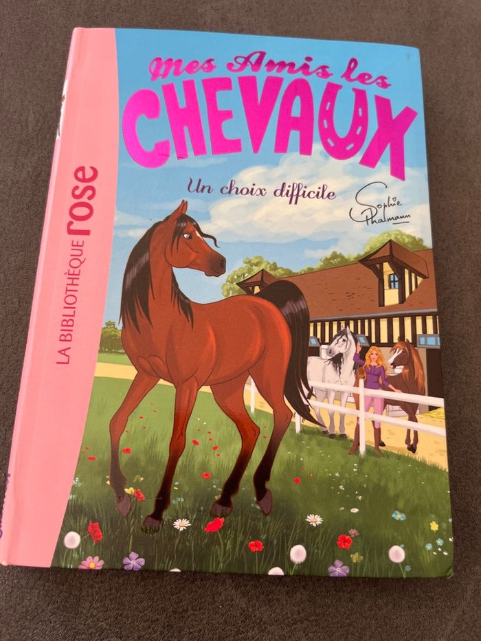 Livre bibliothèque rose mes amis les chevaux tome 3 - photo numéro 1