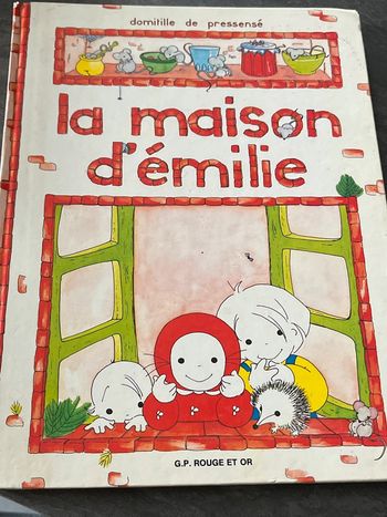 Livre jeunesse la maison d’emilie