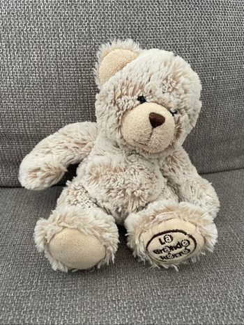 Ours en peluche