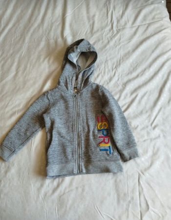 Gillet esprit