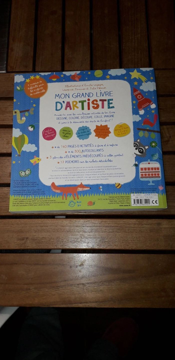 Mon grand livre d'artiste - photo numéro 9