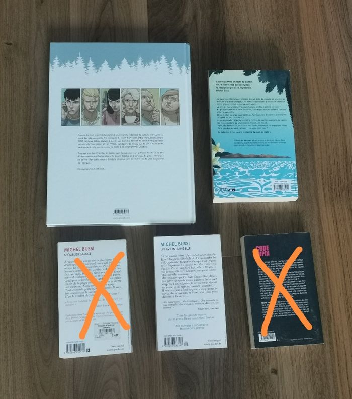 Un avion sans elle BD + roman - photo numéro 2