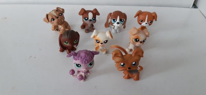 9 chiens petshop