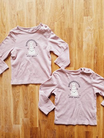 Lot pulls jumelles taille 18mois