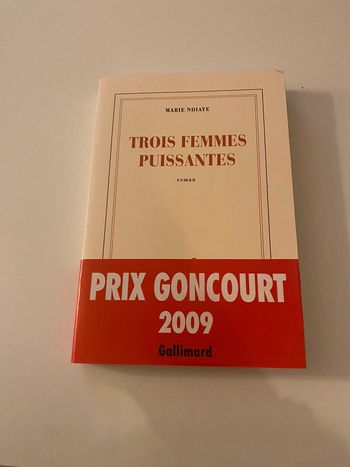 Livre « trois femmes puissantes »
