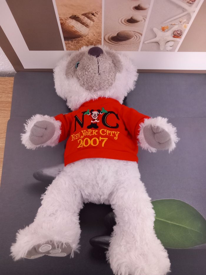 Ours peluche NYC Disney New York city 2007
Mesure 38cm - photo numéro 3