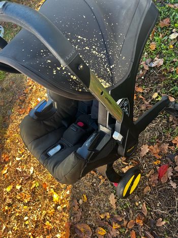 Poussette donna  édition or