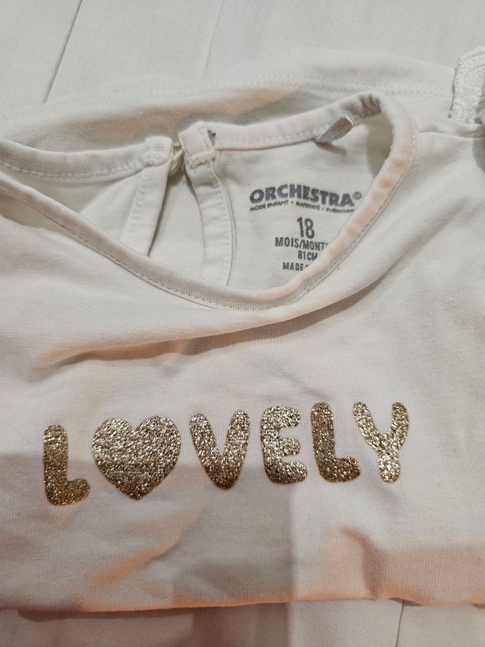 Ensemble orchestra - photo numéro 3