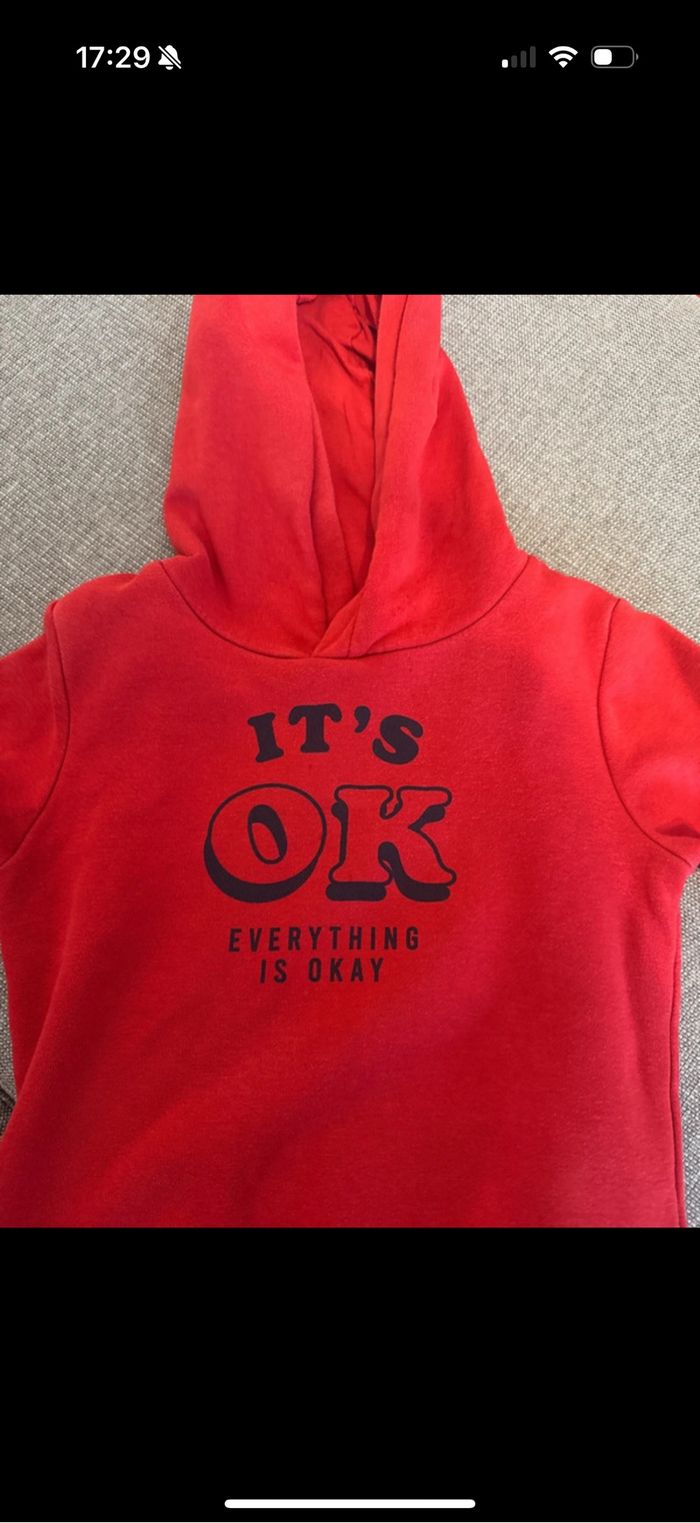 Sweat a capuche garçon kiabi 4 ans - photo numéro 2