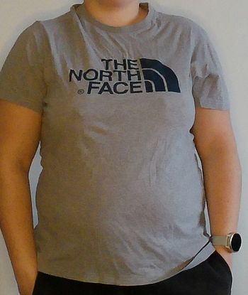 Tee shiry the north face
