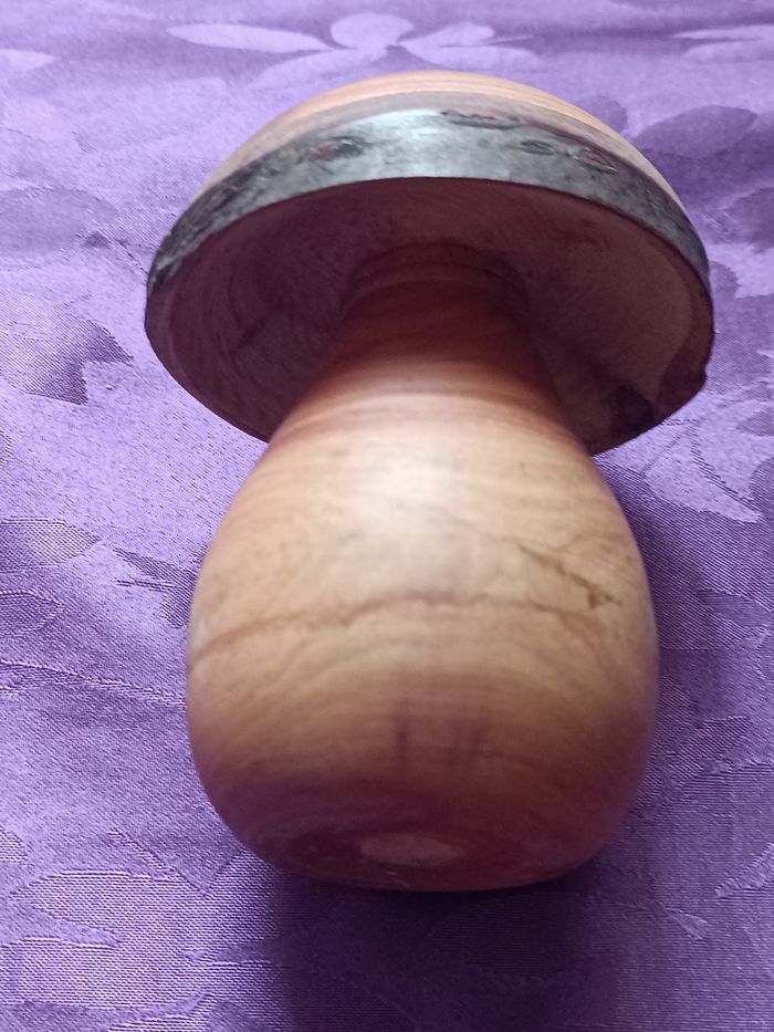 Champignon en bois et autres - photo numéro 9