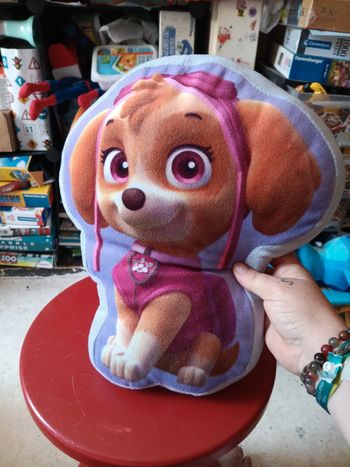 Coussin stella pat patrouille pas de vinted go à une tache