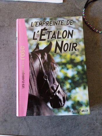 L'empreinte de L'étalon noir