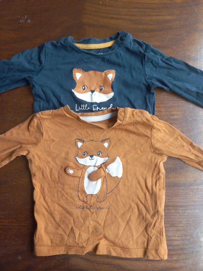 Lot 2 t-shirts manches longues "renard"